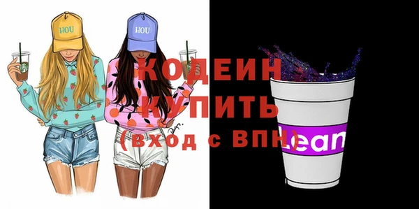 прущие грибы Вязьма