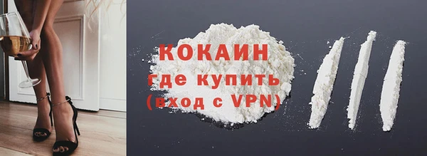 индика Богородск