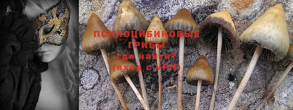 эйфоретик Беломорск