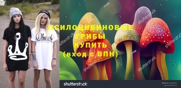 СК Белокуриха